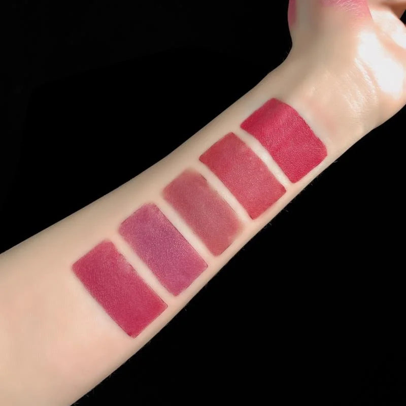 5 em 1 matte kit batom à prova dwaterproof água nude combinação lipgloss de longa duração veludo vermelho mostrar tez sexy batom matiz cosméticos