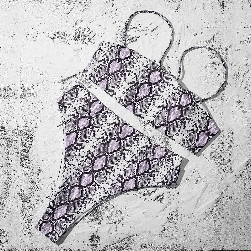 ZTVitality Sexy Bikini 2021 Venda quente Biquinis Cor sólida Cintura alta Biquini Push Up Biquínis Brasileiro Leopardo Summer Feminino Bikinis S-XL