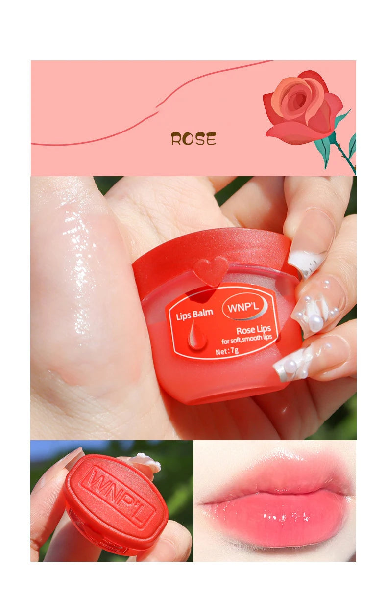 4/6/8 pçs conjuntos de bálsamo labial hidratante batom maquiagem base de planta natural hidratante bálsamo labial anti-rachaduras lábios