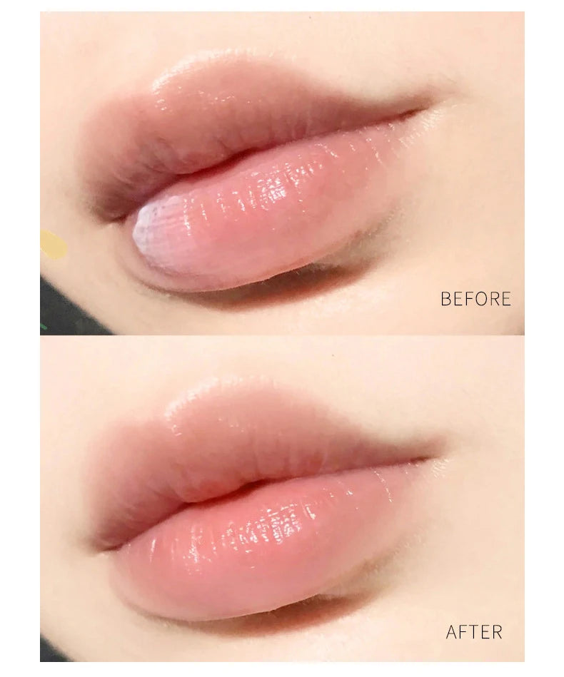 4/6/8 pçs conjuntos de bálsamo labial hidratante batom maquiagem base de planta natural hidratante bálsamo labial anti-rachaduras lábios