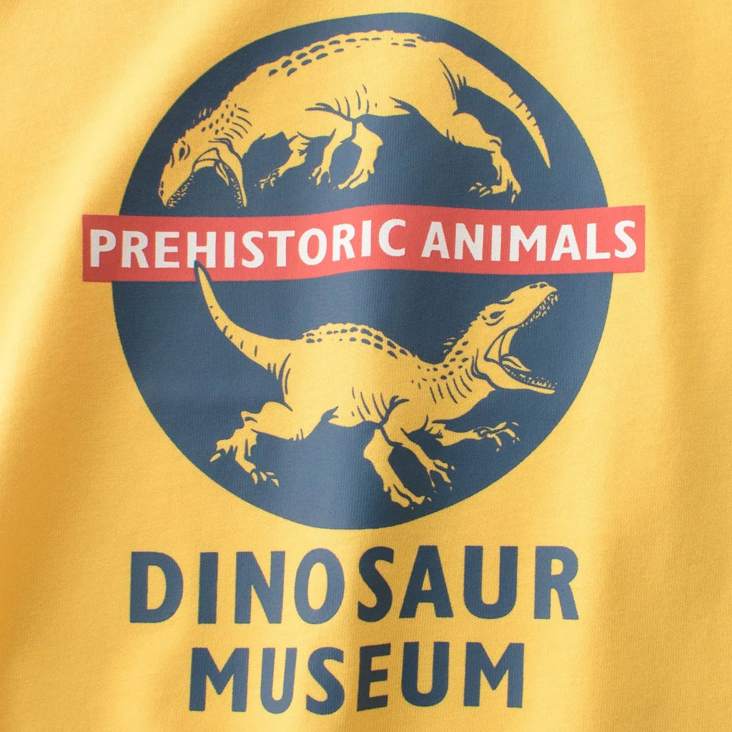 2025 crianças dos desenhos animados camisetas roupas bonitos para menino 100% algodão carro tubarão dinossauro crianças meninas manga curta casual esporte topo t