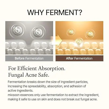 Mixsoon Essência de Feijão - Exfoliante, Hidratante, Extrato de Feijão Fermentado, Fórmula Suave para Pele Suave 50ml / 1,69 fl.oz. Coreano
