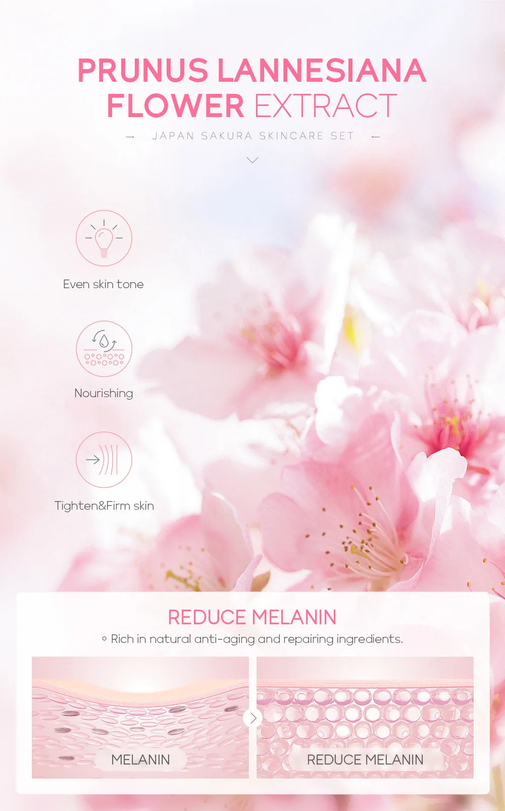 Conjuntos de cuidados com a pele Laikou Sakura com limpador, sérum, creme para os olhos, creme essencial, produtos de beleza para mulheres, presente de Natal.