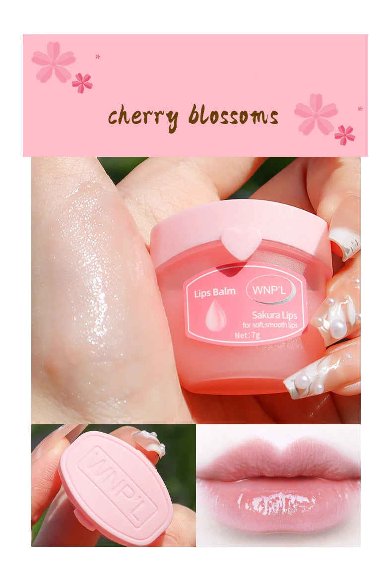 4/6/8 pçs conjuntos de bálsamo labial hidratante batom maquiagem base de planta natural hidratante bálsamo labial anti-rachaduras lábios