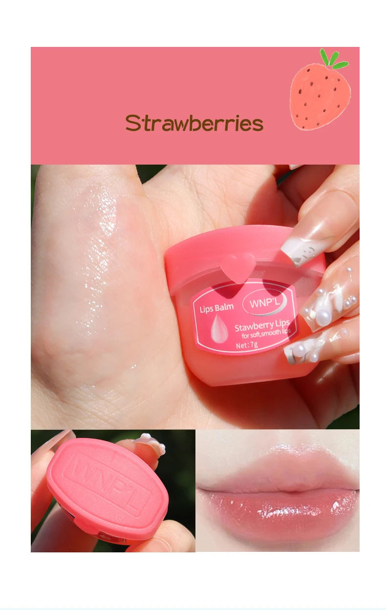 4/6/8 pçs conjuntos de bálsamo labial hidratante batom maquiagem base de planta natural hidratante bálsamo labial anti-rachaduras lábios