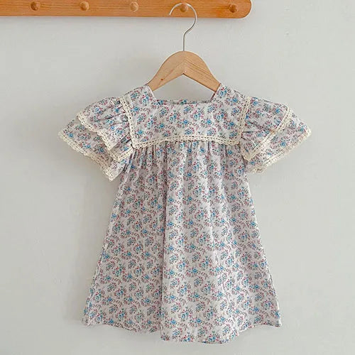 2025 novo verão crianças vestido 2-6 anos crianças vestidos de princesa manga voadora algodão bordado bebê menina vestido de festa irmã roupas