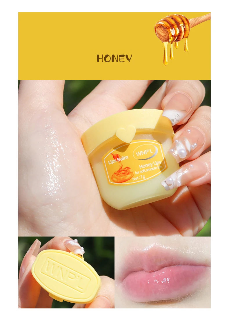 4/6/8 pçs conjuntos de bálsamo labial hidratante batom maquiagem base de planta natural hidratante bálsamo labial anti-rachaduras lábios