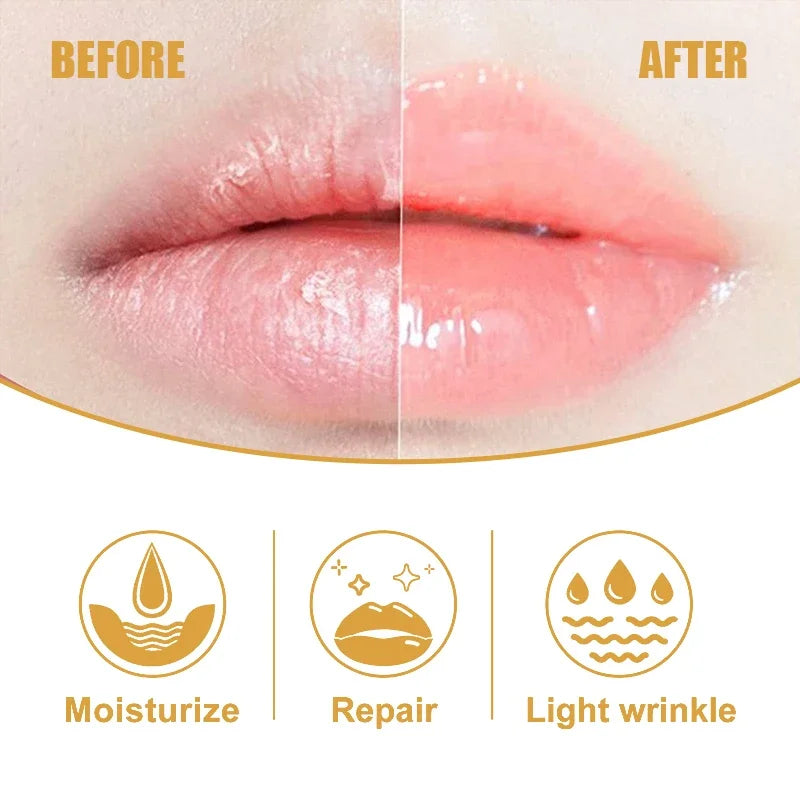 Brilho labial transparente, óleo labial hidratante, reparação, reduz a linha fina dos lábios, iluminar, melhorar os cosméticos do soro labial